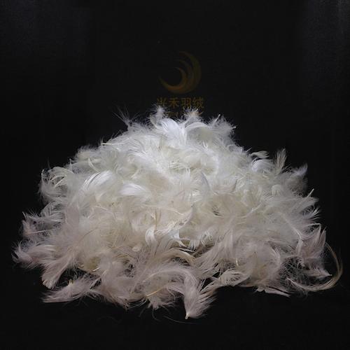 佛山2020最新羽絨,羽毛紡織價格_廠家_供應_批發_圖片_品牌-佛山企業