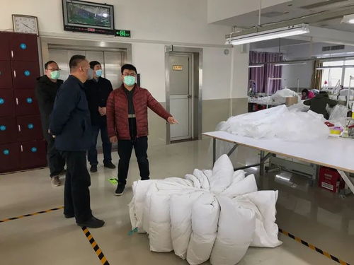 安 字當頭 序 字為徑 區紀委監委精準監督助力復產復工復學