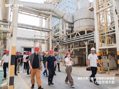 綠色溯源 品質(zhì)引領丨走進千年舟工廠,領略智能制造硬核實力