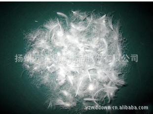 揚(yáng)州萬達(dá)羽絨制品：專業(yè)韓版女式高檔羽絨服批發(fā)與訂單加工服務(wù)